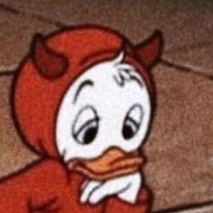 Meet your Posher, Evan